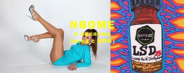 гашик Няндома