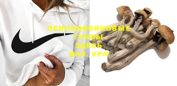 прущая мука Нягань