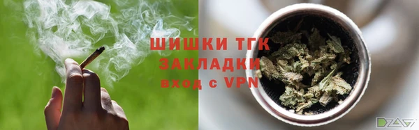гашик Няндома