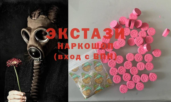 гашик Няндома