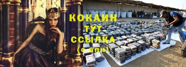 гашик Няндома