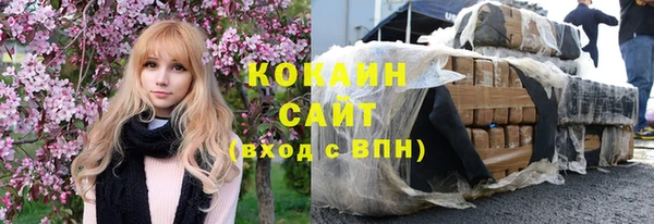 гашик Няндома