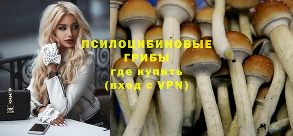 гашик Няндома